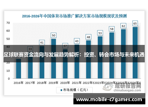 足球联赛资金流向与发展趋势解析：投资、转会市场与未来机遇