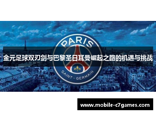 金元足球双刃剑与巴黎圣日耳曼崛起之路的机遇与挑战