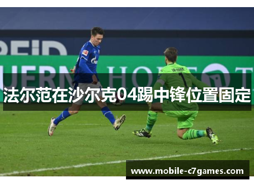 法尔范在沙尔克04踢中锋位置固定