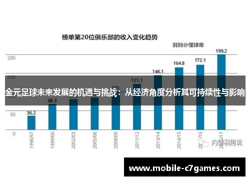 金元足球未来发展的机遇与挑战：从经济角度分析其可持续性与影响