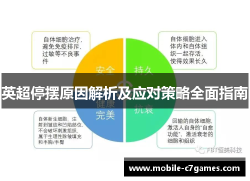 英超停摆原因解析及应对策略全面指南 英超停摆原因解析及应对策略全面指南