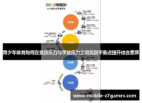 青少年体育如何在竞技压力与学业压力之间找到平衡点提升综合素质